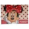 Disney Autograph And Photo Book - Minnie Mouse