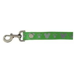 Disney Tails Pet Leash - Reflective 6' - Green