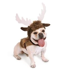 Disney Pet Costume - Frozen - Sven