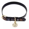 Disney Dog Collar - Disney Critters