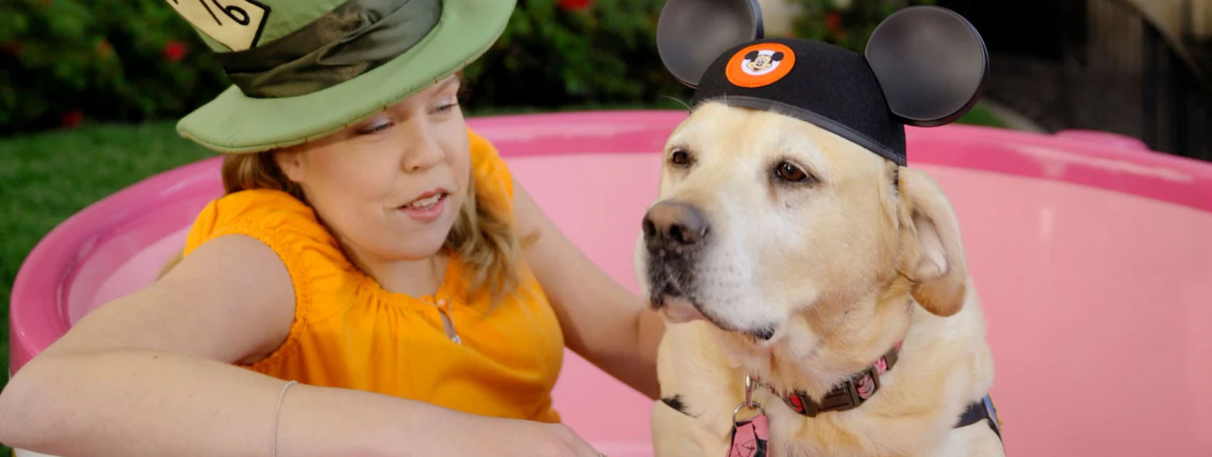 Disney -Disney sdfas